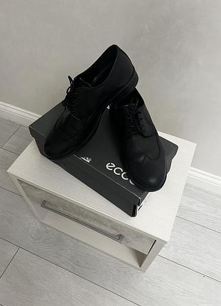 Мужские туфли ecco