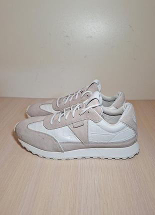 Кросівки clarks