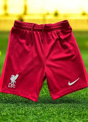 Шорти футбольні nike