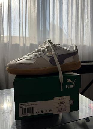 Puma palermo