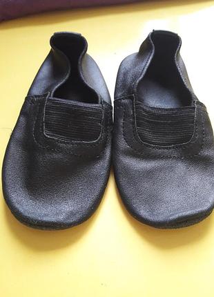 Шкіряні чешки 17см