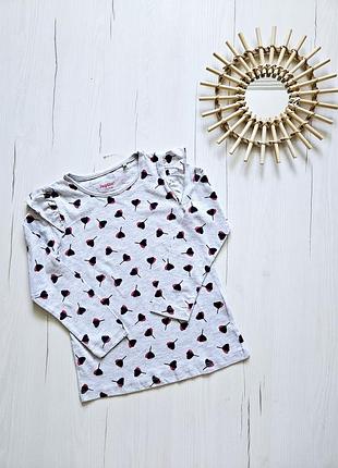 Лонгслив-туника детский 116см, 5-6роков, реглан для девочки, свитшот, футболка с длинным рукавом, lupilu