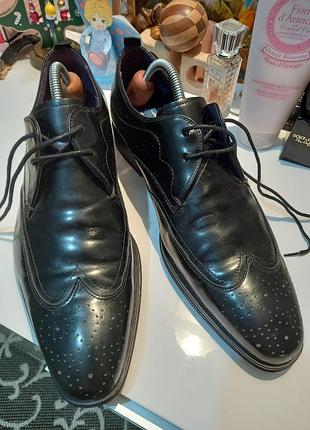 Фирменные мужские туфли броги next italia