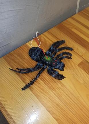Великий павук з пищиком