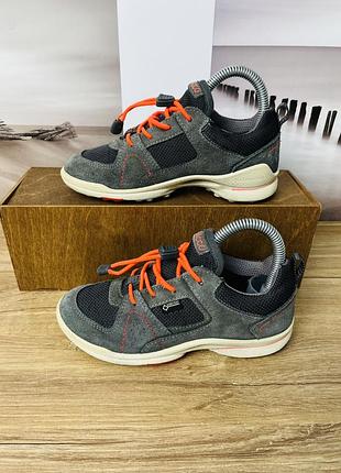 Кросівки ecco biom