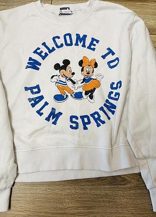 Світшот, кофта, зара