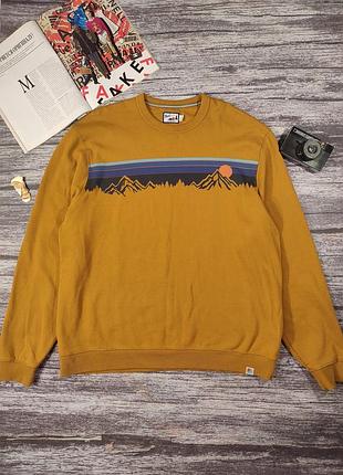 Чоловічий світшот