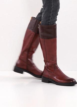 Чоботи жіночі "heavenly feet"