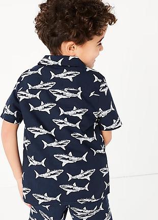 Рубашка, хлопковая рубашка, рубашка с коротким рукавом, поло, футболка