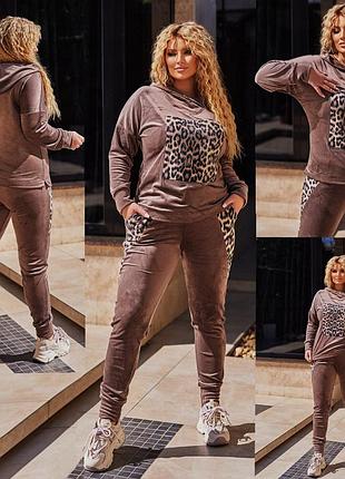 Спортивний велюровий костюм women leo