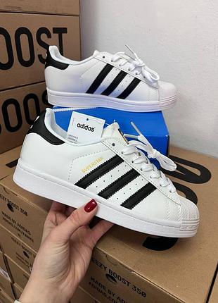 Кросівки Mark Gonz Gonzales Covers The adidas Kanye Superstar ADV With His Schmoo Birds