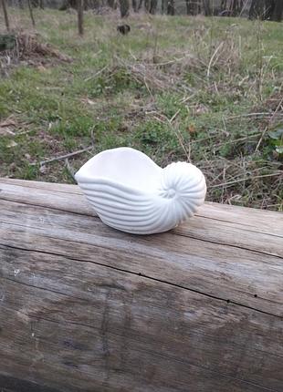 Гипсовая ракушка декор