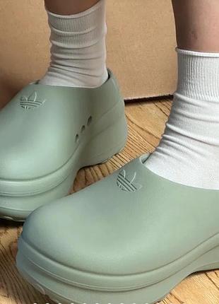 Шльпанці adidas