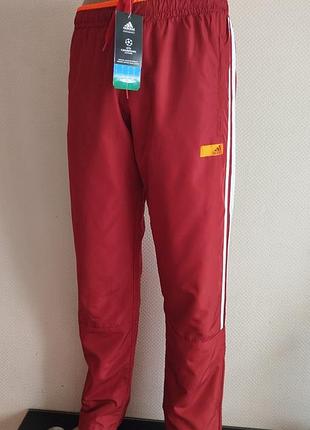 Чоловічі спортивні штани adidas