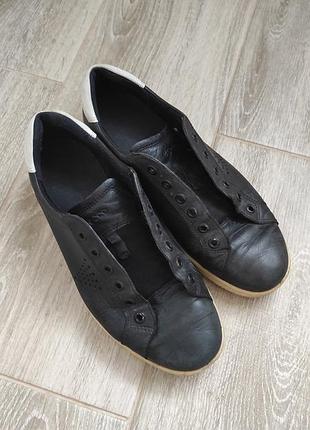 Кеди ecco