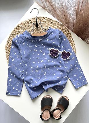 Реглан в бабочки