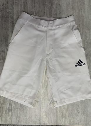 Шорти adidas