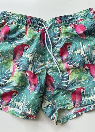 Шорти чоловічі
