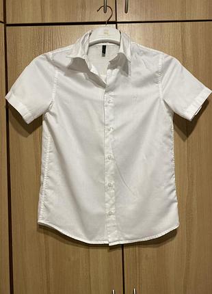 Сорочка, рубашка