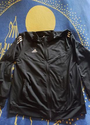 Спортивная одежда adidas