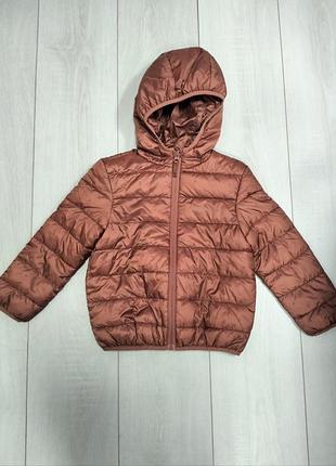 Куртка теракотова  в зірки tex 110, 122, 140см