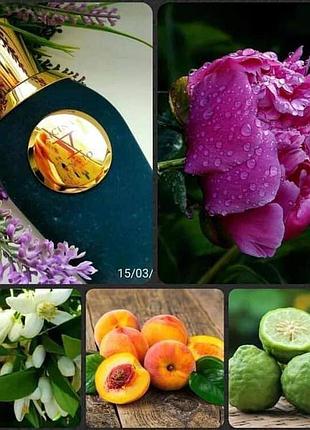 Распив рицина v canto ricina парфюмированная вода распив оригинал