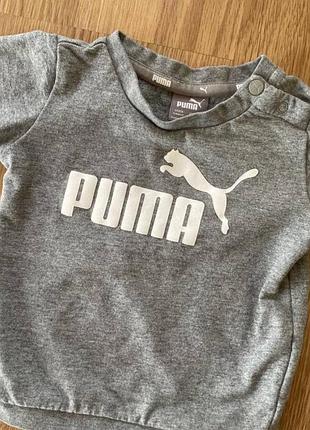 Свитшот утепленный puma оригинал