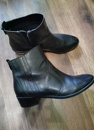 Челси  esprit шкіра