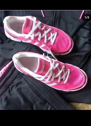 Кросівки відомого бренду adidas