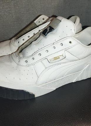 Кеди puma 39p.