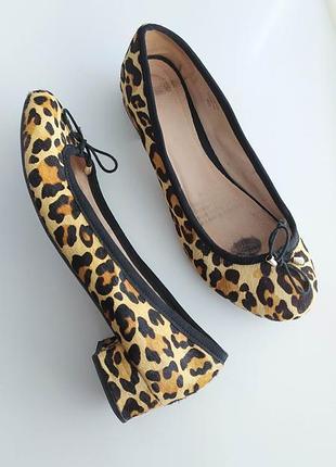 Туфли на низком каблуке в леопардовый принт