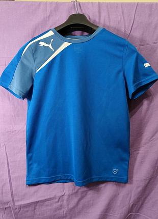 Синяя спортивная футболка puma