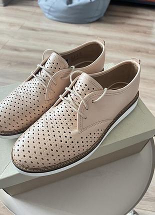 Clarks жіночі кросівки