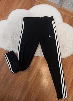 Лосины adidas,леггинсы adidas, солодки,легинсы