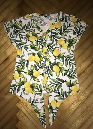 M&co-трикотажна блуза в лимонний принт! р.-102 фото