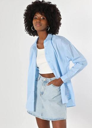 Голубая рубашка, принт, colin's