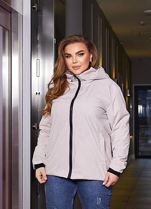 Ветрока в 4-х цветах