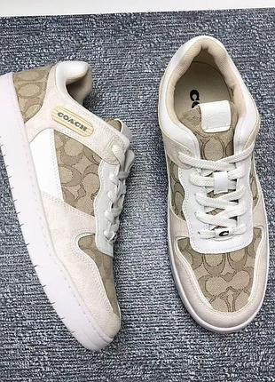 Кеди coach
