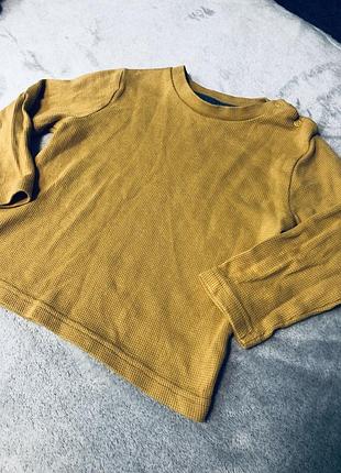 Реглан тоненька кофтинка