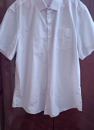 George - большая белая рубашка