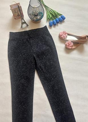 Женские лосины брюки в животный принт