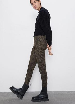 Лосины леггинсы zara леопардовые