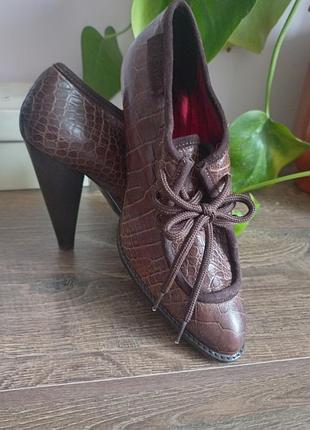 Шкіряні крокодилові  італійські брендові коричневі  жіночі туфлі на підборах на каблуку just cavalli 🇮🇹