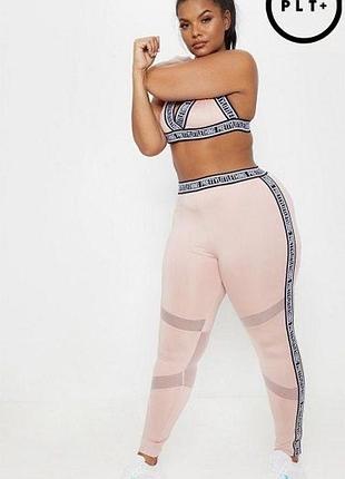 Лосины с сеточкой plt 20