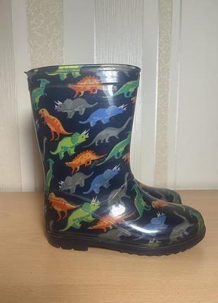 Резиновые сапоги 30-31 размер