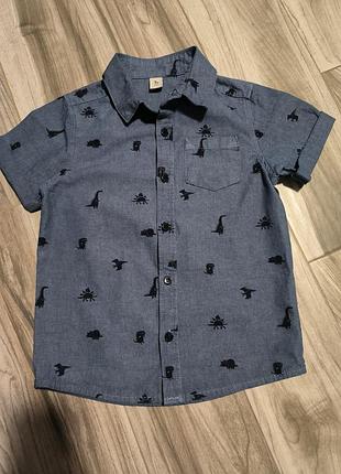 Сорочка в динозаврах