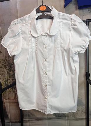 Блуза дівчинка