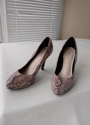 Вишукані туфлі на високих підборах