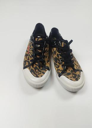 Кеди, кросівки guess в леопардовый принт