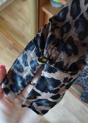 Тренд лео платье рубашка 3